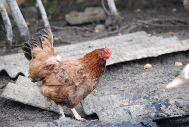 Similar image 22318837