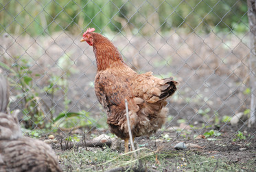 Similar image 22318838