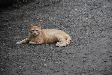 Similar image 22318839