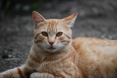 Similar image 22318840