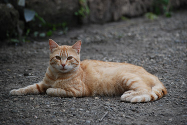 Similar image 22318841