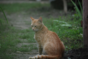 Similar image 22318843