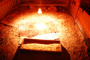 Similar image 22318845