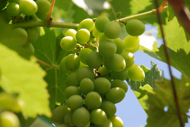 Similar image 22318847