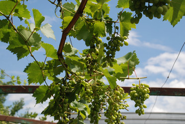 Similar image 22318848