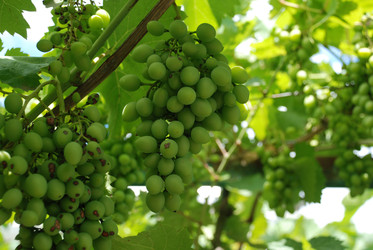 Similar image 22318849