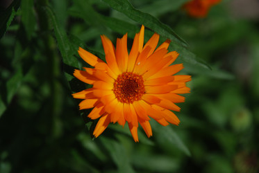 Similar image 22318850