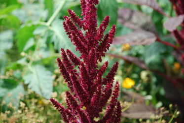 Similar image 22318851