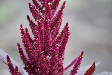 Similar image 22318855