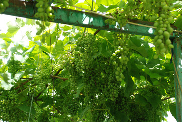 Similar image 22318857