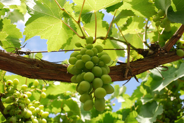 Similar image 22318858