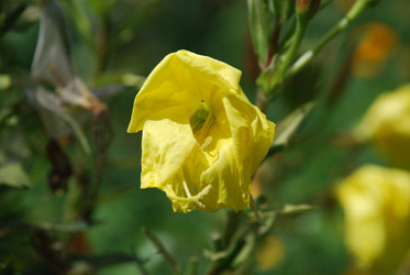 Similar image 22318859