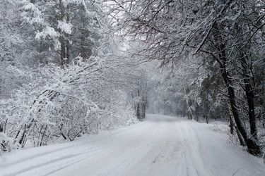 Similar image 22318524