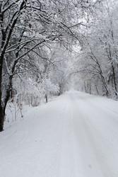 Similar image 22318526