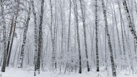 Similar image 22318527