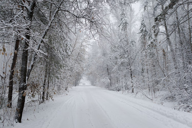 Similar image 22318528