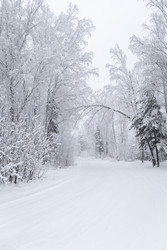 Similar image 22318529