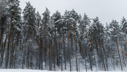 Similar image 22318532