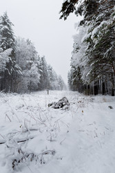 Similar image 22318533