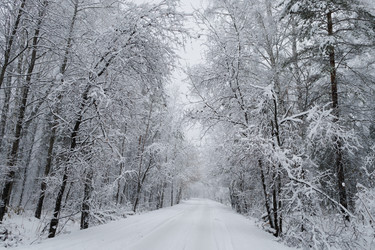 Similar image 22318534