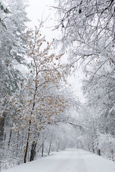 Similar image 22318535