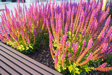 Similar image 22317922