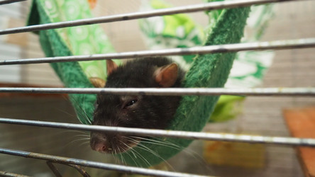 Similar image 22317923