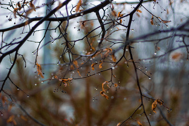 Similar image 22317377