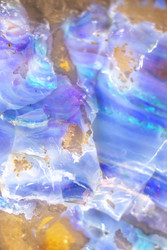 Similar image 22317383