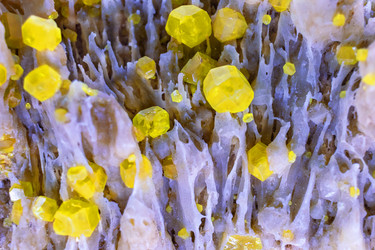 Similar image 22317384