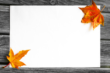 Similar image 22317385