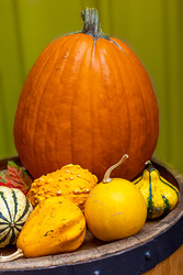 Similar image 22317387