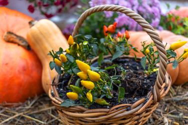 Similar image 22317388