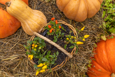 Similar image 22317389