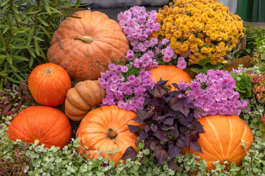 Similar image 22317390