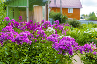 Similar image 22317400