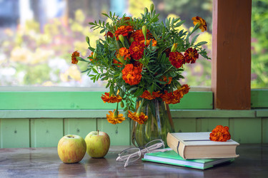 Similar image 22317401