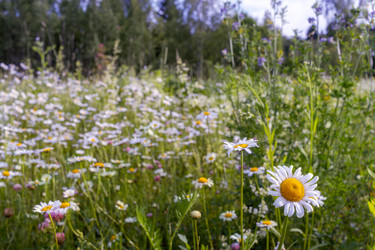 Similar image 22317407