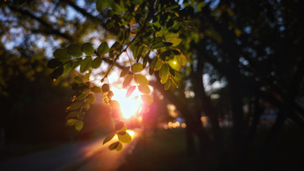 Similar image 22316802