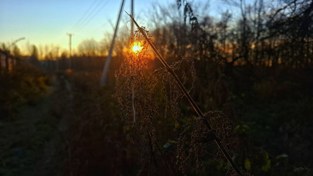 Similar image 22316805