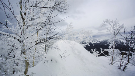 Similar image 22326192