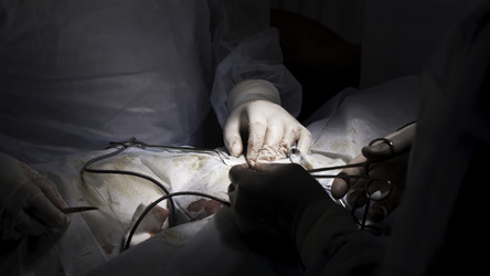 Similar image 22328471