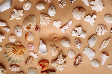 Similar image 22321628