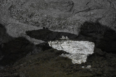 Similar image 22316819