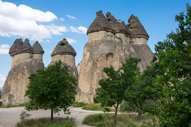 Similar image 22319050