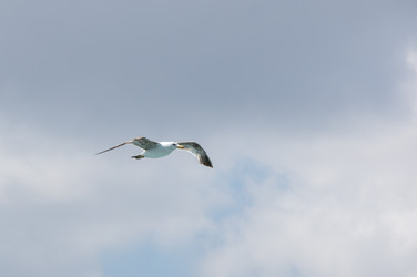 Similar image 22319063