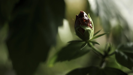 Similar image 22326210