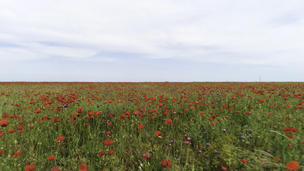 Similar image 22326212