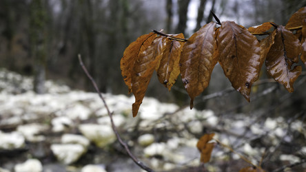 Similar image 22326214