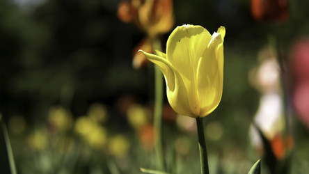 Similar image 22327962